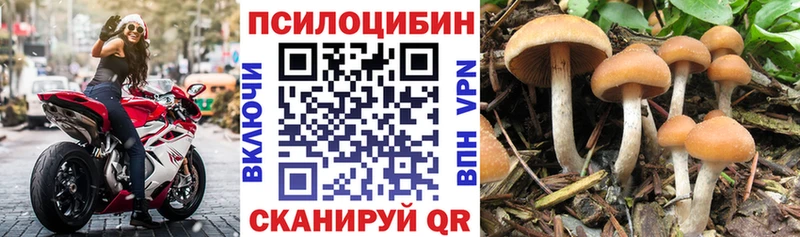 Галлюциногенные грибы прущие грибы  Холм 